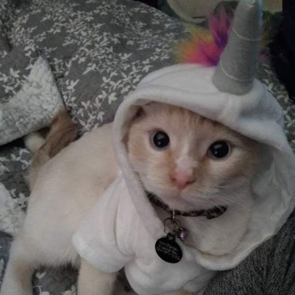 Meet your Posher, Kimberley - Picture 1 of 1